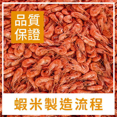蝦米製造流程